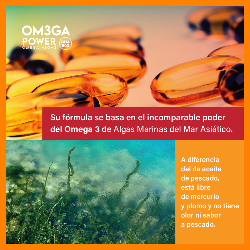 Om3ga Power - Omega 3 de algas DHA 800