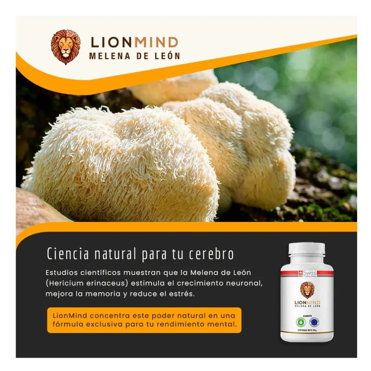 LionMind Suplemento con Melena de León